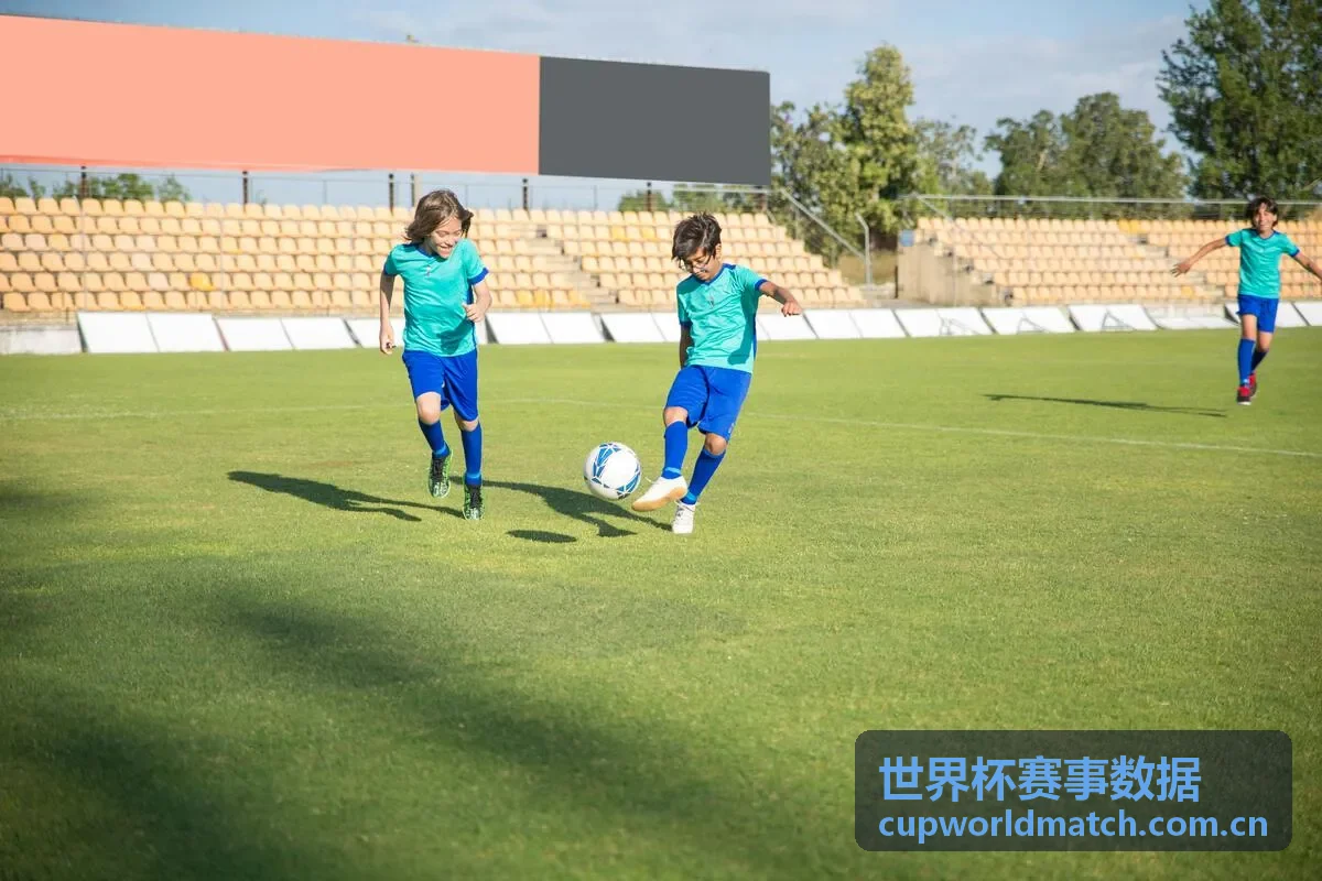 世界杯赛事数据 球队对比